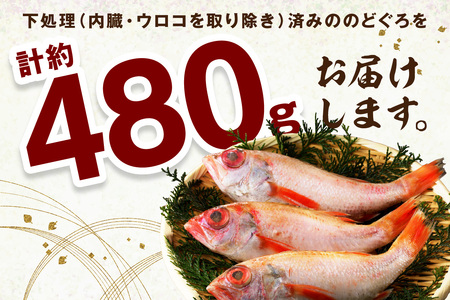  山陰浜田 香住屋の「のどぐろ」煮付け・塩焼き用（3～4尾） 魚介類 のどぐろ 煮付け 塩焼き 下処理済み のどくろ 【657】