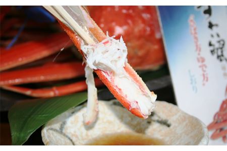 【 国産日本海の松葉蟹をボイルでお届け！ 】 【先行予約】ボイルでお届け。ボイル本松葉蟹 特大2枚（タグ付き）＜12月10日～2月末までのお届け＞ 国産 カニ 魚介類 海の幸 年内配送 年末年始配送 【687】