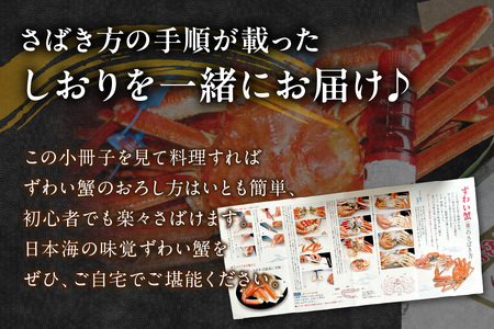 【 国産日本海の松葉蟹をボイルでお届け! 】ボイルでお届け。ボイル本松葉蟹 特大2杯(タグ付き)Cセット<1月11日~2月末までのお届け> 国産 カニ 魚介類 海の幸【097_0729】