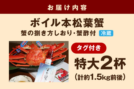 【 国産日本海の松葉蟹をボイルでお届け! 】ボイルでお届け。ボイル本松葉蟹 特大2杯(タグ付き)Cセット<1月11日~2月末までのお届け> 国産 カニ 魚介類 海の幸【097_0729】