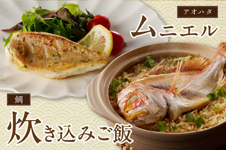 【定期便】季節の鮮魚セット年6回コース 定期便 6回 鮮魚 お任せ お取り寄せ 魚介 鮮魚 セット 下処理済み 【096_1695】