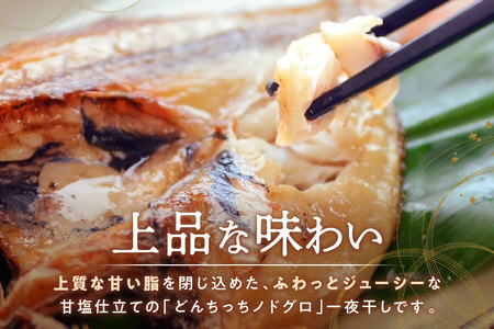 【どんちっちブランド】のどぐろ一夜干し 200g～240g（3枚） 干物 ひもの 一夜干し のどぐろ 魚 のどぐろ一夜干し 【136_1997】