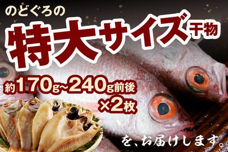 のどぐろ干物 特大3~4枚(計700g前後)のどぐろ本来の旨味に出会う渾身の干物 河野乾魚店 魚介類 魚貝類 干物 干もの 一夜干し お祝い お取り寄せ グルメ 【019_1949】