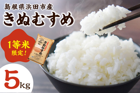 【令和7年産】浜田市産きぬむすめ5kg 白米 玄米 選択可 お取り寄せ 特産 お米 精米 ごはん ご飯 コメ 新生活 応援 準備 5キロ 【197_1958】