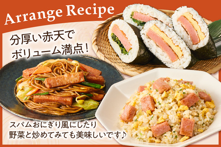 赤天セット 3枚×8袋 おつまみ 練り物 ビール 天ぷら 赤天 あか天 ご当地 グルメ 小分け 取り寄せ 島根県 父の日 ピリ辛 肴 おかず つまみ グルメ かまぼこ【017_1004】