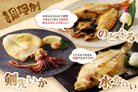 極上!!干物屋推薦 厳選干物 訳あり商品が入ってます!! 魚介類 セット 干物 乾物 ふるさと納税 訳あり 海の幸 魚介類 魚貝類 干物 一夜干し 干物セット【033_1776】