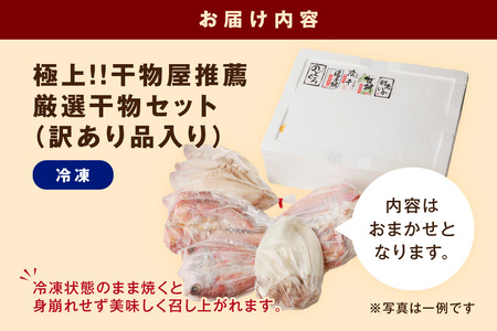 極上!!干物屋推薦 厳選干物 訳あり商品が入ってます!! 魚介類 セット 干物 乾物 ふるさと納税 訳あり 海の幸 魚介類 魚貝類 干物 一夜干し 干物セット【033_1776】