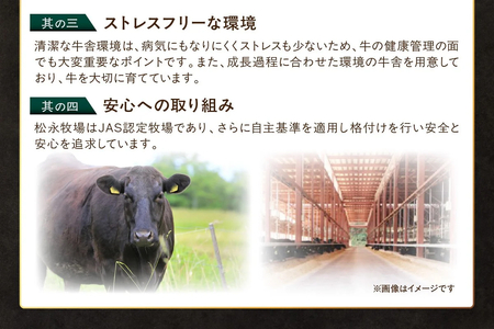 《松永牧場 浜田市進出記念》松永牧場和牛ももすき焼き用（和牛） すき焼き 鍋 すき焼肉 松永牧場 浜田市 肉 和牛 牛肉 国産 500グラム 【120_1898】