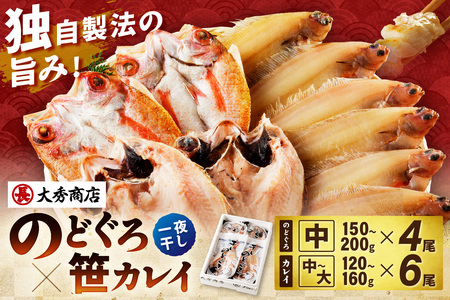 山陰浜田で創業40年大秀商店の「のどぐろ(中)と子持ち笹かれいの干物」魚介類 魚貝類 魚介 魚 セット 加工品 一夜干し 干物 干もの のどぐろ 子持ち笹かれい 笹かれい 【038_1957】