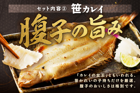 山陰浜田で創業40年大秀商店の「のどぐろ(中)と子持ち笹かれいの干物」魚介類 魚貝類 魚介 魚 セット 加工品 一夜干し 干物 干もの のどぐろ 子持ち笹かれい 笹かれい 【038_1957】