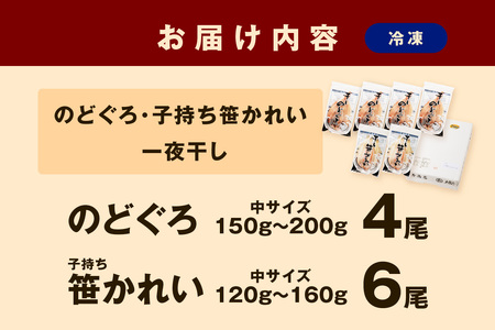 山陰浜田で創業40年大秀商店の「のどぐろ(中)と子持ち笹かれいの干物」魚介類 魚貝類 魚介 魚 セット 加工品 一夜干し 干物 干もの のどぐろ 子持ち笹かれい 笹かれい 【038_1957】