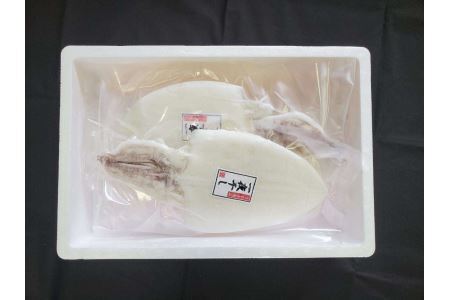 大きな「白いか一夜干し（4枚～5枚）」 白いか 一夜干し 干物 干もの 御中元 御歳暮 ギフト 新鮮 厳選 海鮮 セット 個包装 魚介類 【136_1998】