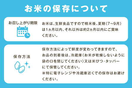 【令和6年産】【定期便】特別栽培米「匠のつや姫」　５Ｋｇ×１２回コース 定期便 12回 5キロ お取り寄せ 特産 お米 精米 白米 ごはん ご飯 コメ 新生活 応援 準備 令和6年産 【1265】