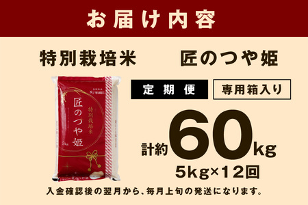 【令和6年産】【定期便】特別栽培米「匠のつや姫」　５Ｋｇ×１２回コース 定期便 12回 5キロ お取り寄せ 特産 お米 精米 白米 ごはん ご飯 コメ 新生活 応援 準備 令和6年産 【1265】