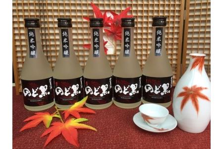 浜田市の魚「のどぐろ」との相性は抜群！環日本海 純米吟醸のど黒 5本入 純米吟醸 お酒 のど黒 純米吟醸酒 辛口 常温 地酒 セット ご当地 取り寄せ お祝い ギフト 贈答 日本酒【026_2032】