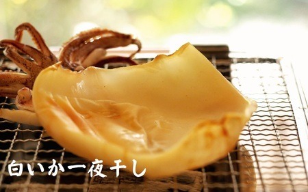 【定期便】山陰浜田港四季の味わい のどぐろ付きアラカルト（年6回奇数月発送コース） 魚 のどぐろ 一夜干し フィレ 干物 干もの 個包装 小分け セット 詰め合わせ 定期 6回 【146_2039】