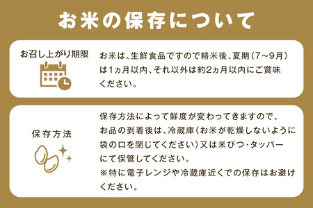 【令和6年産】【新米先行予約】浜田市金城町産こしひかり（２ｋｇ×１袋）・きぬむすめ（２ｋｇ×１袋）＜10月中旬以降の発送＞ 米 お米 精米 白米 コシヒカリ きぬむすめ ごはん 新生活 応援 準備 食べ比べ セット 【1406】