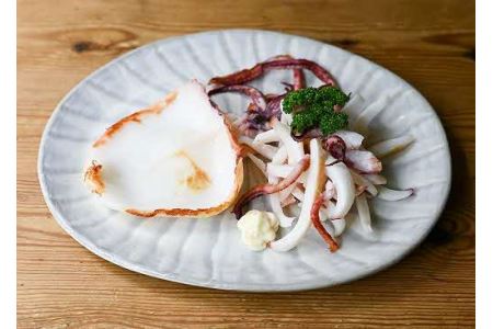 山陰浜田極味 シロイカ(ケンサキイカ)一夜干し5枚入り【164_1826】