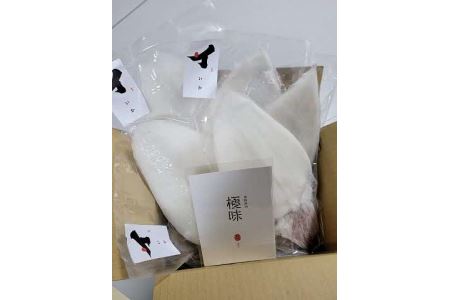 山陰浜田極味 シロイカ(ケンサキイカ)一夜干し5枚入り【164_1826】