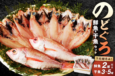 のどぐろの鮮魚と干魚のコラボセット 魚介類 魚介 魚 のどぐろ 干物 鮮魚 一夜干し お刺身 セット 【096_1696】