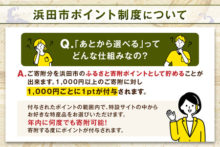 ≪1口・1,000円≫島根県浜田市ポイントをためる あとから返礼品を選ぶ【浜田市】 あとから選べる 選べる 選ぶ あとから 【140_1538】