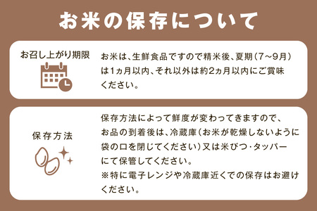 【令和6年産】【新米先行予約】神楽の郷 石見のこしひかり ５Ｋｇ＜10月上旬以降の発送＞ 米 コメ 5kg 島根 県産 精米 玄米 一等米 【1622】