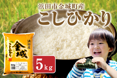 【令和6年産】【新米先行予約】浜田市金城町産こしひかり ５Ｋｇ＜10月上旬以降の発送＞ 米 お米 精米 白米 5キロ 新生活 応援 準備 【1623】