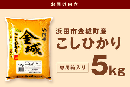 【令和6年産】【新米先行予約】浜田市金城町産こしひかり ５Ｋｇ＜10月上旬以降の発送＞ 米 お米 精米 白米 5キロ 新生活 応援 準備 【1623】