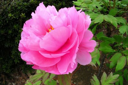 アンエラ スパモイストスキンケアシリーズ【177_1634】