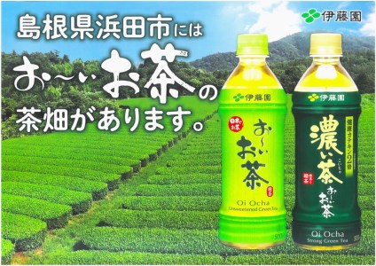 お～いお茶 緑茶ＰＥＴ 600ml 24本入り×1ケース 伊藤園 ドリンク 飲料 セット ペットボトル お茶 グリーンティー ストック 備蓄 新生活 応援 準備 【1638】