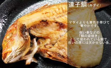 お手軽干物セット のどぐろ 鯛 いか 沖ギス あじ 魚介類 魚貝類 魚 干物 一夜干し セット 詰め合わせ 【1675】