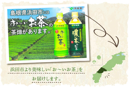 お～いお茶 濃い茶PET 600ml 24本入り×2ケース 計48本 ドリンク 飲料 セット ペットボトル 濃い茶 伊藤園 備蓄 新生活 応援 準備 【114_2076】