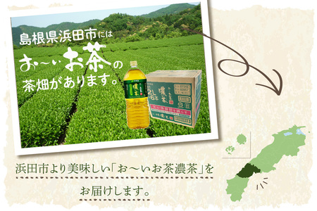 お～いお茶 濃い茶PET 2L 6本入り×2ケース 計12本 伊藤園 お茶 ペットボトル セット ドリンク 飲料 備蓄 伊藤園 濃い茶 新生活 応援 準備【114_2077】