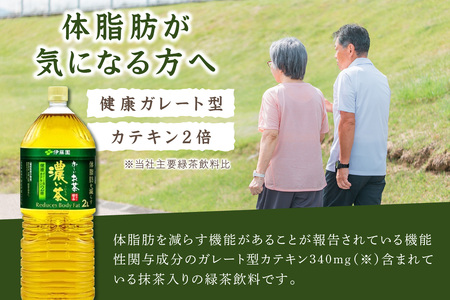 お～いお茶 濃い茶PET 2L 6本入り×2ケース 計12本 伊藤園 お茶 ペットボトル セット ドリンク 飲料 備蓄 伊藤園 濃い茶 新生活 応援 準備【114_2077】