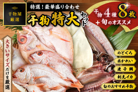 特選!!豪華盛り合わせ♪干物特大セット 魚介類 魚貝類 干物 干もの セット 干物セット のどぐろ ノドグロ カレイ かれい 蓮子鯛 イカ いか【033_1778】