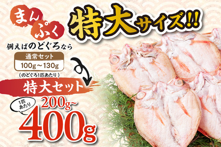 特選!!豪華盛り合わせ♪干物特大セット 魚介類 魚貝類 干物 干もの セット 干物セット のどぐろ ノドグロ カレイ かれい 蓮子鯛 イカ いか【033_1778】