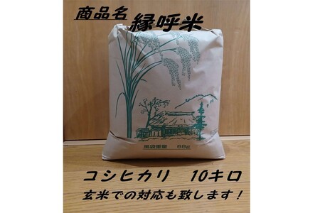 【令和7年度産】浜田市旭町産コシヒカリ～良縁・縁呼米～10キロ こしひかり お米 白米 玄米 選べる 常温 【166_1763】
