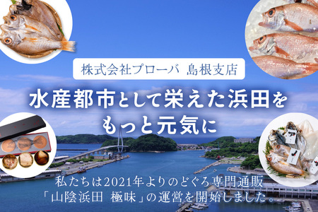 山陰浜田極味 のどぐろ一夜干し(大)3枚入り 魚介類 魚貝類 魚 のどぐろ 一夜干し 干物 贈答 お中元 お歳暮 島根県沖産 【164_1843】