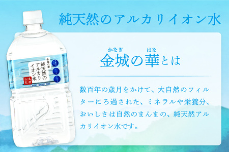 ミネラルウォーター 金城の華 1L 12本入 2箱 飲料水 水 アルカリイオン水 【043_1839】