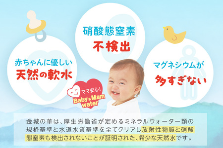 ミネラルウォーター 赤ちゃんのアルカリイオン水500ml 24本入 2箱 飲料 ドリンク 水 アルカリイオン水 軟水 備蓄 【043_1840】