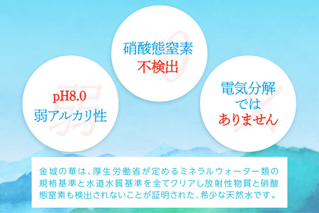 純天然アルカリイオン水 7年保存水500ml 24本入 2箱 ミネラルウォーター 軟水 水 長期保存 飲料水 防災 備蓄 備蓄水 非常用 保存用 防災用 国産 天然水 アルカリイオン【043_1842】