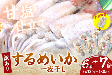 【訳あり】 するめいか一夜干し（１２０g～１８０gｘ６枚） 魚介類 いか するめいか 一夜干し 加工品 おつまみ 訳あり ふるさと納税 するめいか 【1837】