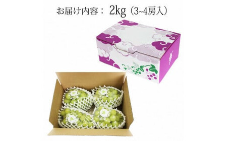 【2026年9月下旬以降発送】[農家直送]厳選シャインマスカット2kg箱[持田農園]