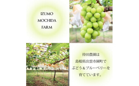 【2026年9月下旬以降発送】[農家直送]厳選シャインマスカット2kg箱[持田農園]