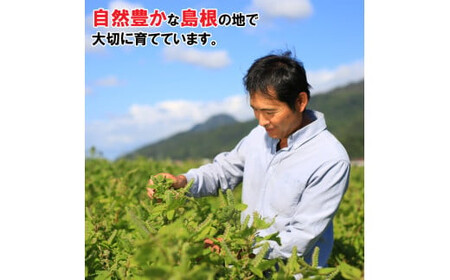 島根県産えごま油3本セット