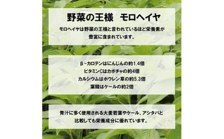 いづものモロヘイヤ100パウダー(500g)