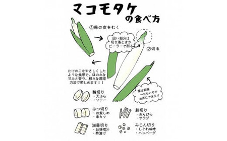 出雲國マコモタケ（生） 1kg 出雲市産　【2026年9月上旬以降発送】