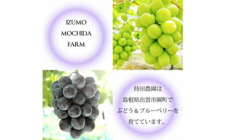 【2026年8月中旬以降発送】[農家直送]厳選ブラックビート2kg箱（3～5房）[持田農園]