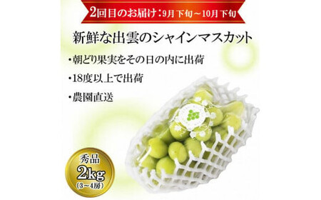 【2026年8月中旬以降発送】【2回定期便】【農家直送】厳選シャインマスカットとブラックビートの定期便