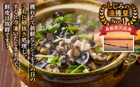 漁師直送!宍道湖産ヤマトシジミ・Mサイズ冷凍2.4kg